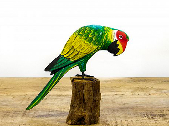 Groene papegaai (25)